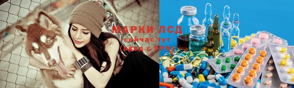 PSILOCYBIN Белоозёрский