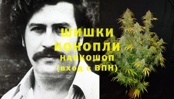 PSILOCYBIN Белоозёрский
