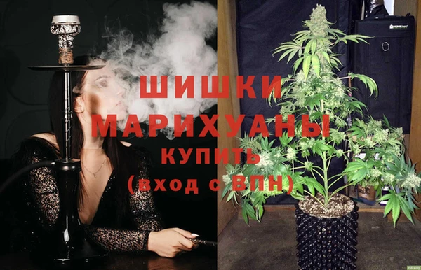PSILOCYBIN Белоозёрский